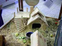 Ochtrup Langenhorst 2004